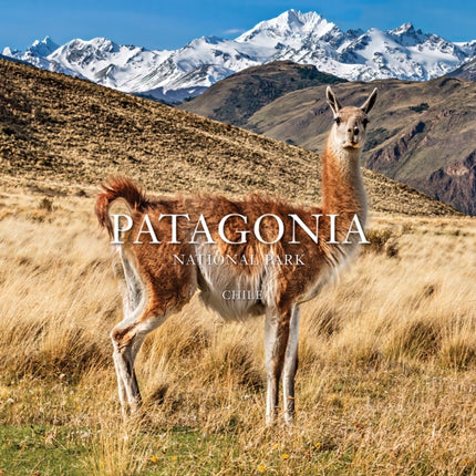 Patagonia National Park Chile