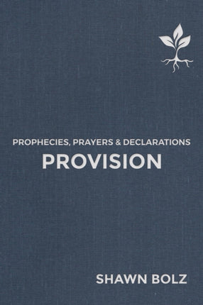 Provision: Prophecies, Prayers & Declarations