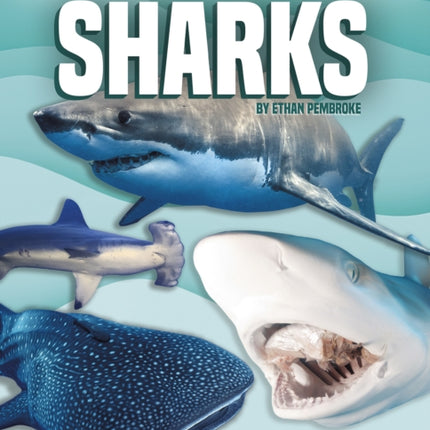 Genius Kid's Guide to Sharks