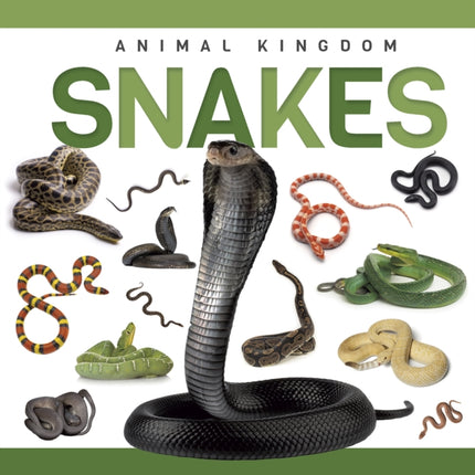 Snakes