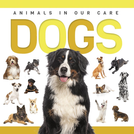 Dogs