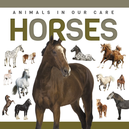 Horses