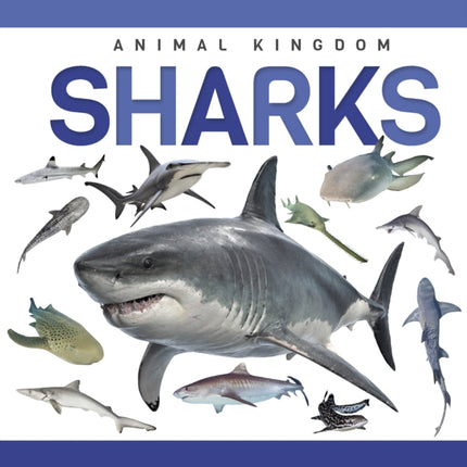 Sharks