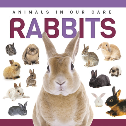 Rabbits