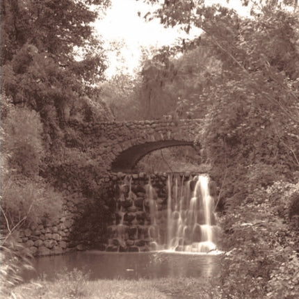 A World of Her Own Making Katharine Smith Reynolds and the Landscape of Reynolda