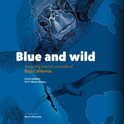 Blue and Wild: Amazing Marine Animals of Baja California