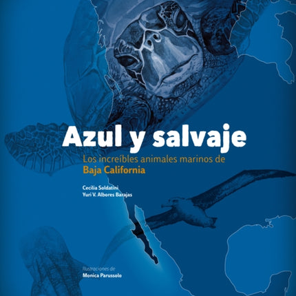 Azul Y Salvaje: Los Increíbles Animales Marinos de Baja California