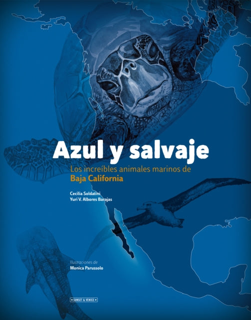 Azul Y Salvaje: Los Increíbles Animales Marinos de Baja California