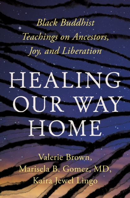 Healing Our Way Home: Black Buddhist Teachings on