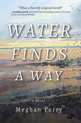 Water Finds a Way a novel