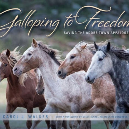 Galloping to Freedom: Saving the Adobe Town Appaloosas