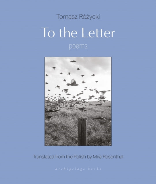 To The Letter: Poems