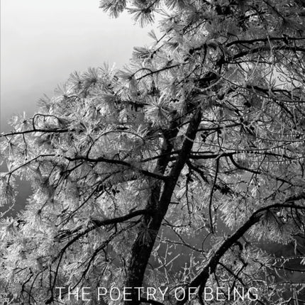 The Poetry of Being: Photographs and Haikus