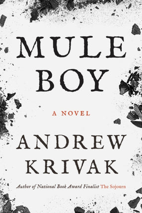 Mule Boy