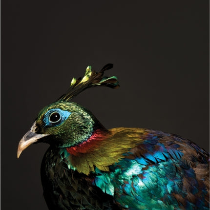 Graphis Photography Annual 2024