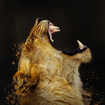 Graphis Advertising Annual 2025