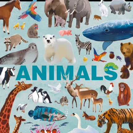 Animals (Search and Learn)