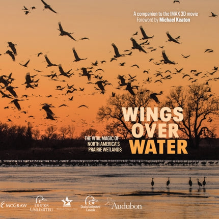 Wings Over Water: The Vital Magic of North America’s Prairie Wetlands