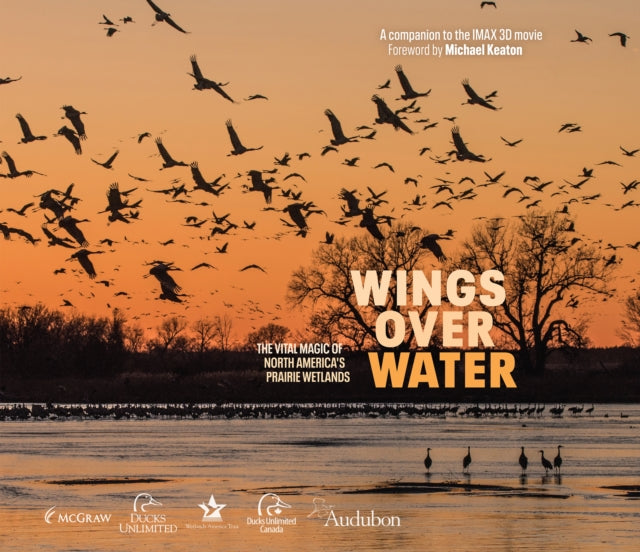 Wings Over Water: The Vital Magic of North America’s Prairie Wetlands