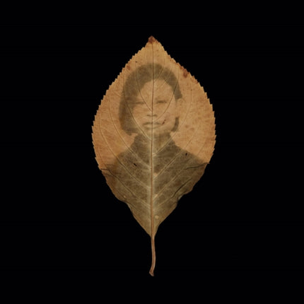 Binh Danh: The Enigma of Belonging