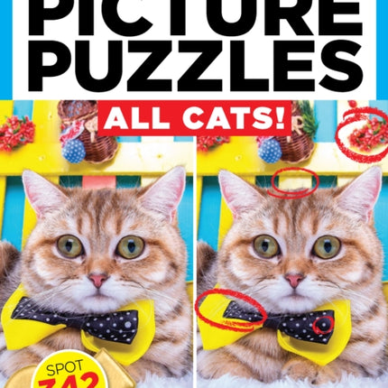 Brain Fun Picture Puzzles All Cats