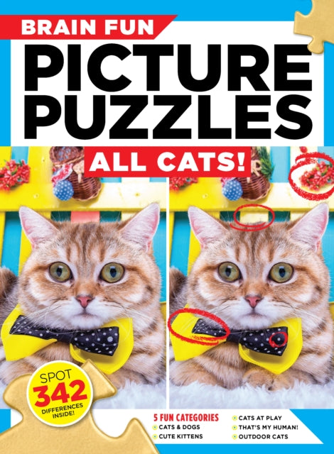 Brain Fun Picture Puzzles All Cats