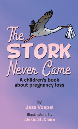 The STORK Never Came: A Children's book about