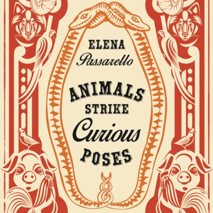 Animals Strike Curious Poses