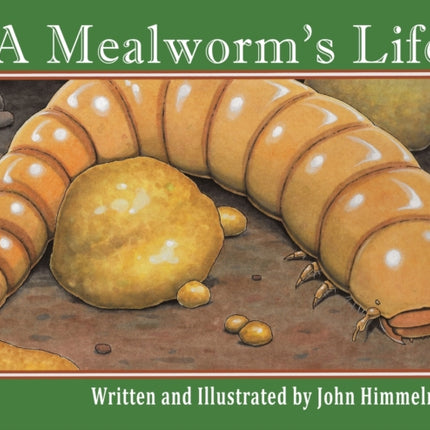 A Mealworm's Life