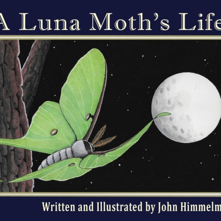 A Luna Moth's Life