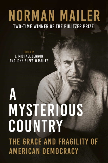 A Mysterious Country: The Grace and Fragility of American Democracy