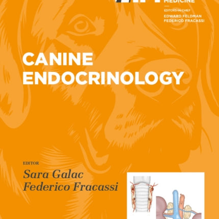 Canine Endocrinology