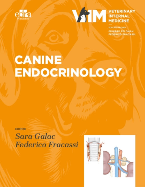 Canine Endocrinology