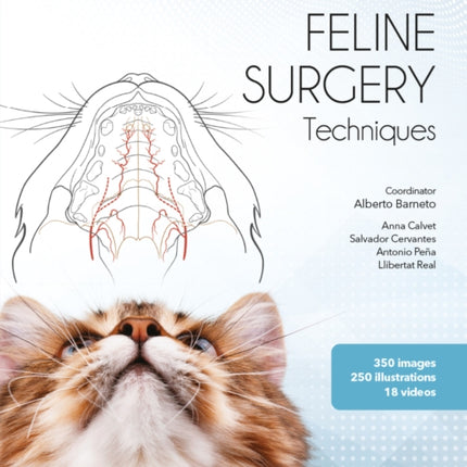 Feline surgery