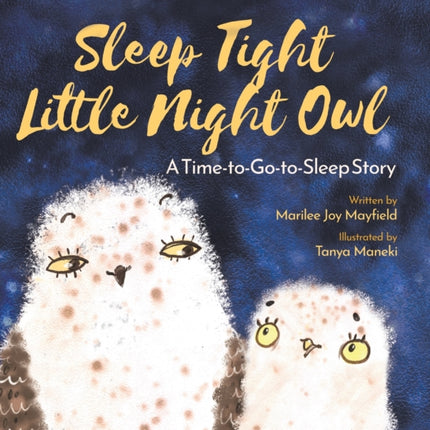 Sleep Tight Little Night Owl: A Time-to-Go-to-Sleep Story