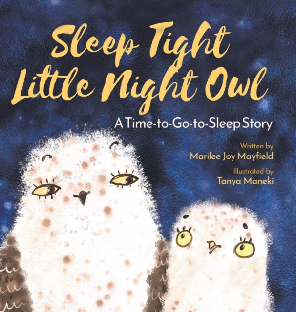 Sleep Tight Little Night Owl: A Time-to-Go-to-Sleep Story