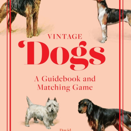 Vintage Dogs