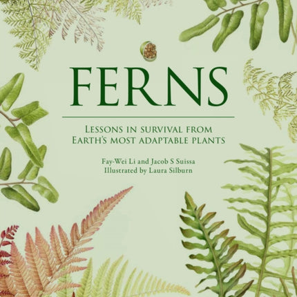 Ferns