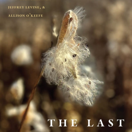 The Last Milkweed