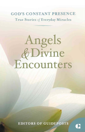 Angels  Divine Encounters