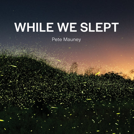 While We Slept
