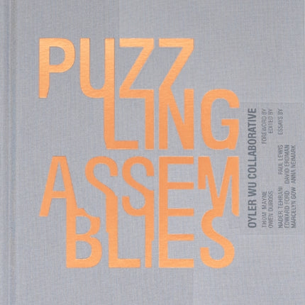 Puzzling Assemblies