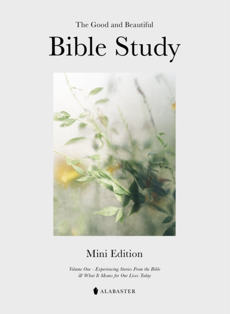 The Mini Good and Beautiful Bible Study