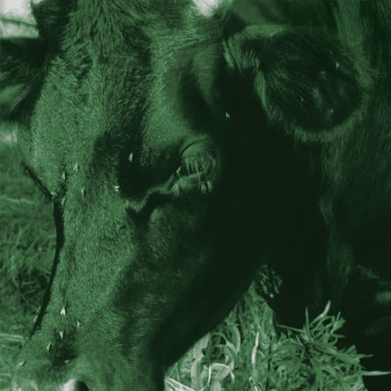 The Green Lives