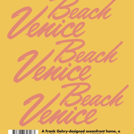 LOST iN Venice Beach