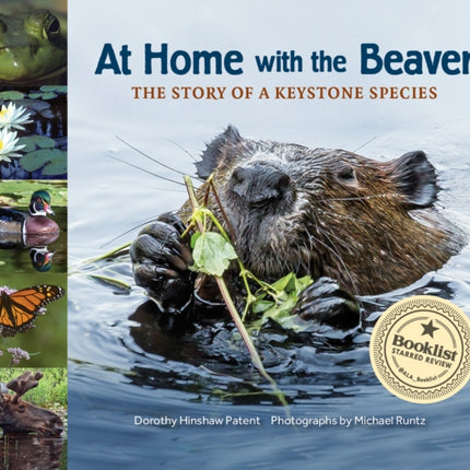 At Home with the Beaver: A Story of a Keystone Species