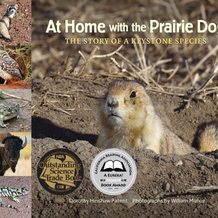 At Home with the Prairie Dog: The Story of a Keystone Species