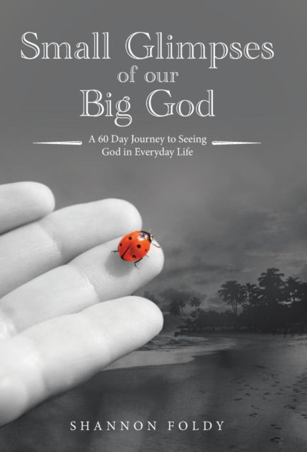 Small Glimpses of Our Big God: A 60 Day Journey
