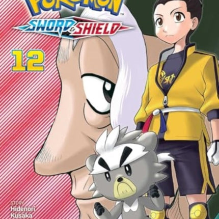 Pokemon Sword  Shield Vol. 12
