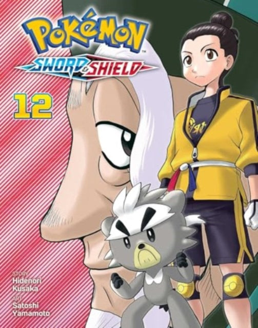 Pokemon Sword  Shield Vol. 12